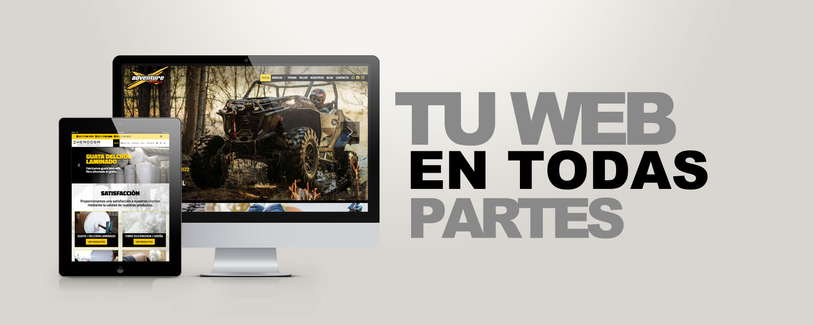 Diseño web profesional, páginas web México, páginas web Guadalajara, páginas web Monterrey